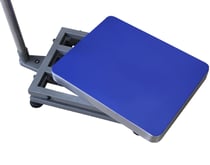 Весы Вагар Зевс