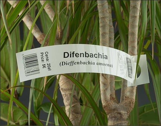 Бирка-петелька 15x209 мм